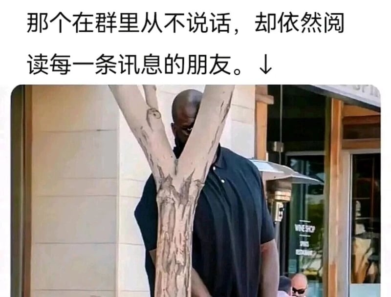 职业篮球运动员