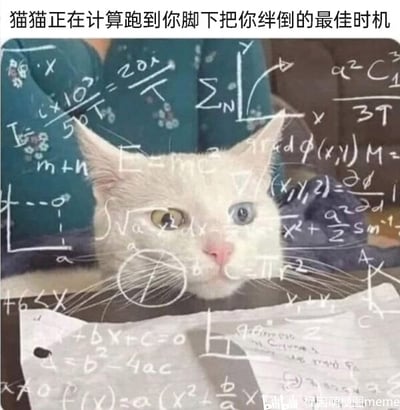 这是一张经过P图改编的静态搞笑梗图，画面主体是一只拥有黄、蓝异色瞳孔的白色猫咪，猫咪的面部及周围区域被密集覆盖了大量复杂的数学公式，包括微积分表达式、物理质能公式E=mc²、代数方程、几何公式等，营造出猫咪正在进行严谨学术演算的视觉效果。图片顶部配有文字“猫猫正在计算跑到你脚下把你绊倒的最佳时机”，将猫咪日常中突然跑到主人脚边挡路的行为，拟人化为需要通过复杂数学计算来精准把控时机的“计划”，利用可爱宠物形象与严肃学术演算的强烈反差，结合养猫人群常有的被猫咪绊倒的真实经历，制造出幽默搞笑的效果，引发养猫用户的共鸣。