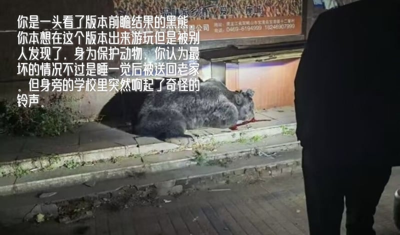 黑熊