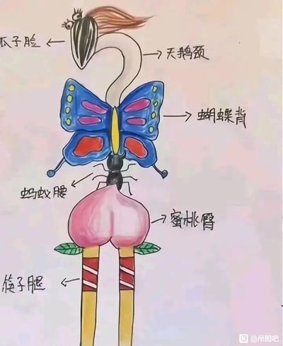 这是一幅充满趣味的手绘拼接插画，创作者将网络上形容理想身材的各类热门标签，用具象的事物荒诞地拼接成一个组合形象：顶部以瓜子的外形对应“瓜子脸”，并搭配了拟人化的眼睛和头发；接着用修长的鹅脖子对应“天鹅颈”；以蝴蝶的翅膀来代表“蝴蝶背”；用蚂蚁的躯干部分对应“蚂蚁腰”；用桃子的外形来表现“蜜桃臀”；最后用带有装饰的筷子外形对应“筷子腿”。这幅图通过夸张、戏谑的拼接方式，调侃了当下社会中对身材的各类极致审美标准，将抽象的身材形容转化为具象的事物，既充满搞笑感，也暗含对身材焦虑的讽刺，容易引发网友的共鸣。