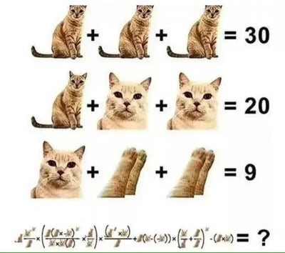 这张图是一道以猫咪为核心的趣味数学题，通过猫咪全身、猫头和猫爪不同图片组合成加法等式，考验观察力和推理力，还有复杂的组合公式。该图经常作为脑筋急转弯、朋友圈整蛊题流传，具有强烈的益智和娱乐氛围。

需要留心的点：图中的猫头、猫爪和完整猫实为不同代表，对应数值需仔细区分，也暗藏细节陷阱（比如爪子的数量和位置）。