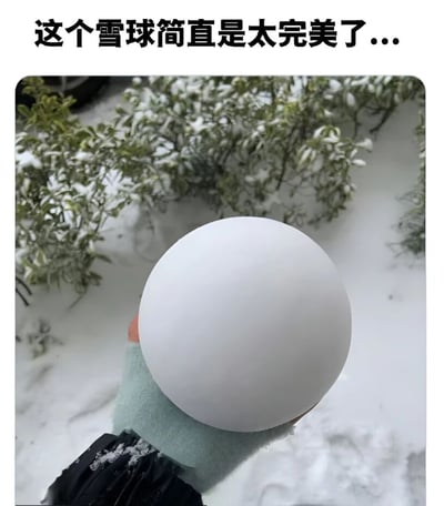 图片中一只戴着浅绿色手套和黑色外套的手，正捧着一个近乎标准球形的纯白色雪球。背景是覆盖着积雪的地面和带有雪迹的绿色灌木丛，整体场景充满冬日氛围。图片上方配有文字“这个雪球简直是太完美了...”，直观表达了对雪球圆润度的惊叹和赞赏。