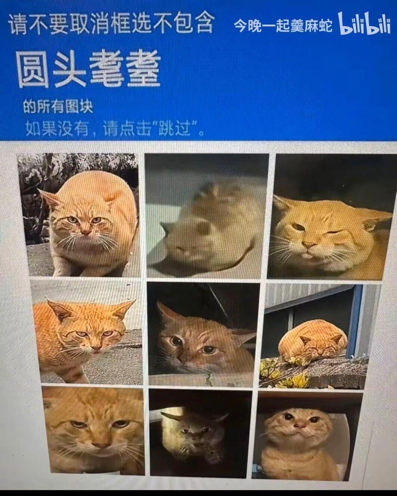 耄耋