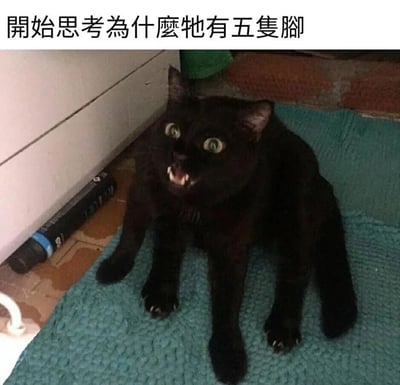 图片中是一只黑色猫咪坐在蓝色垫子上，眼睛圆睁，嘴巴微张露出牙齿，表情显得有些惊恐。图片上方配有文字“開始思考為什麼牠有五隻腳”，引导观者注意猫咪的腿部，由于拍摄角度或猫咪姿势的原因，看起来似乎有五只脚，形成视觉上的小错觉，带有搞笑和疑惑的氛围。