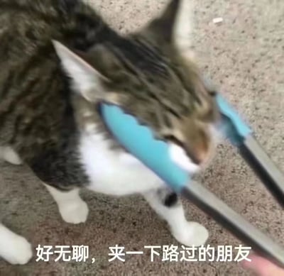 一只虎斑猫被蓝色夹子夹住面部的特写照片，猫咪表情专注，似乎在玩耍。图片底部有白色文字："好无聊，夹一下路过的朋友"，营造出猫咪因无聊而想捉弄路人的幽默效果。