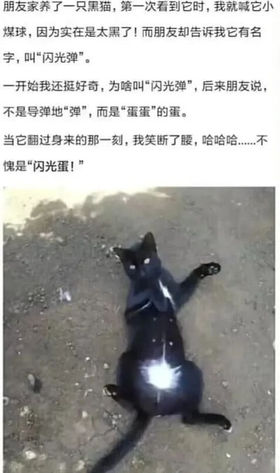 这是一张图文混排的静态图，上方是文字内容，下方是对应的黑猫照片。文字部分讲述了一个趣味小故事：“我”第一次见到朋友家的纯黑猫咪，因为它通体漆黑便叫它小煤球，朋友却告知它的名字是“闪光弹”，“我”一开始以为是武器“闪光弹”的“弹”，后来朋友解释是“蛋蛋”的“蛋”。当黑猫翻过身，露出腹部和胸口的白色毛发，尤其是腹部那块显眼的白色斑块像闪光一样，瞬间让“我”明白名字的由来，谐音梗的笑点拉满。下方的图片里，一只纯黑的猫仰躺在粗糙的地面上，四肢自然伸展，胸口和腹部的白色斑块清晰可见，腹部的白斑看起来格外明亮，完美呼应了“闪光蛋”这个名字。