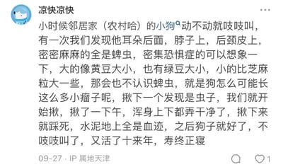 这是一张社交媒体平台的用户帖子截图，用户“凉快凉快”（IP属地天津）分享了一段童年在农村的经历：邻居家的小狗总是吱吱叫，后来发现它的耳朵后、脖子、后颈皮上布满了大小不一的蜱虫，当时误认成小瘤子，揪下后才发现是虫子，于是和伙伴们花了一下午把蜱虫全部清理干净，踩死的蜱虫在水泥地上留下血迹，之后小狗不再乱叫，还健康地活了十来年才寿终正寝。帖子充满了怀旧的生活气息，讲述了一段和小动物相关的温暖童年往事。