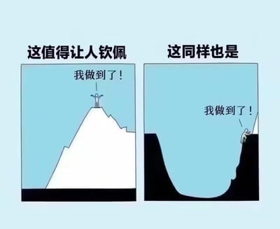 这是一张左右对比的原创卡通梗图，左侧画面呈现了一个人站在高耸的白色山顶，双臂张开，满脸兴奋地欢呼“我做到了！”，画面上方配有文字“这值得让人钦佩”；右侧画面则是一个人疲惫地趴在深色悬崖的边缘，同样说出“我做到了！”，画面上方配文“这同样也是”。这张图传递出的核心思想是：成功并非只有站在万众瞩目的顶峰这一种形式，那些在不被关注的困境中拼尽全力、完成了属于自己的目标的人，他们的努力与成果同样值得被认可和钦佩，图中没有双关、谐音梗等内容。