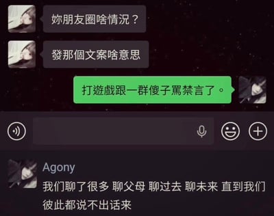 这是一张微信聊天界面截图，画面分为上下两部分，上半部分是两名网友的私信对话，一方询问另一方朋友圈发布的文案是什么含义，另一方回复是自己打游戏的时候和人对骂，骂到被平台禁言了；下半部分是该被询问者发布的朋友圈内容，文案为非常情绪化的“我们聊了很多 聊父母 聊过去 聊未来 直到我们彼此都说不出话来”，看似是感慨情感相关的内容，实际是指代自己和人吵架到被禁言没法说话的状况，二者形成强烈反差，充满搞笑效果，很容易引发有游戏内吵架被禁言经历用户的共鸣。