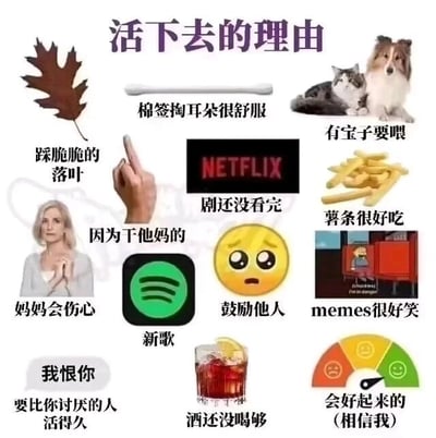这是一张采用九宫格形式的图文混排图，顶部以醒目的紫色大字标注标题“活下去的理由”。图中一共呈现了15组图文结合的内容，分别对应着能支撑人继续生活的各种日常小事与情绪支撑点：包括踩脆落叶的感官愉悦、棉签掏耳朵的舒适感、需要喂养的宠物、未看完的剧集、美味的薯条、不想让妈妈伤心的牵挂、新发布的歌曲、帮助他人的成就感、好笑的网络梗图、要比讨厌的人活得久的执念、没喝够的酒，以及对未来会变好的期许，还有一句宣泄情绪的口语化表达。这些内容都是贴近日常生活的细碎温暖或情绪出口，用轻松接地气的方式传递出在平凡生活里寻找活下去的动力的主题，能够给情绪低落的人带来慰藉。