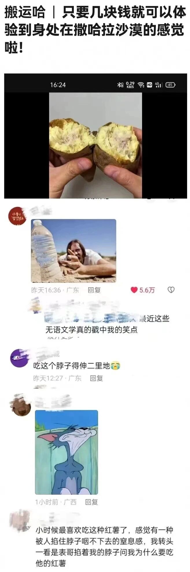 猫和老鼠