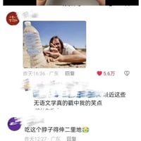 猫和老鼠