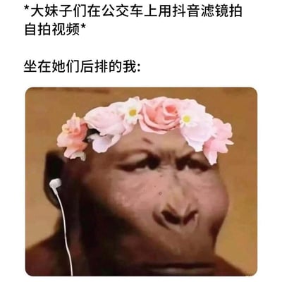 这是一张图文混排的搞笑梗图，上方文字描述场景：“*大妹子们在公交车上用抖音滤镜拍自拍视频* 坐在她们后排的我:”，下方配图是一只戴着粉色花朵滤镜头饰、耳朵里插着白色耳机的猴子面部特写。通过将猴子拟人化并添加流行的自拍滤镜元素，幽默地表现了旁观者对公共场合过度使用美颜滤镜自拍行为的调侃视角。