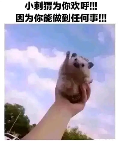 图片上方有两行黑色加粗文字：“小刺猬为你欢呼!!! 因为你能做到任何事!!!”。下方是一张照片，显示一只手托着一只小刺猬，背景是蓝天白云。小刺猬身体朝上，一只前爪向上伸展，仿佛在欢呼。整体给人一种温馨、鼓励的感觉，通过可爱的小动物形象传递积极向上的正能量。