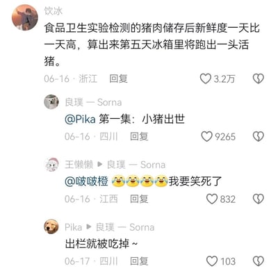 这是一张社交媒体评论区的静态截图，用户「饮冰」首先发布吐槽内容，调侃某食品卫生实验检测出猪肉储存后新鲜度逐日升高，脑洞大开地戏称按照这个结果第五天冰箱里会跑出活猪；随后网友「良璞 — Sorna」顺势玩梗，将这个脑洞编排成「小猪出世」的剧集开篇；网友「王懒懒」表示被这个搞笑评论逗笑；网友「Pika」接着玩梗回应「出栏就被吃掉~」，整个评论区围绕离谱的检测结果展开趣味互动，充满轻松搞笑的氛围，各条评论也获得了不同数量的点赞。