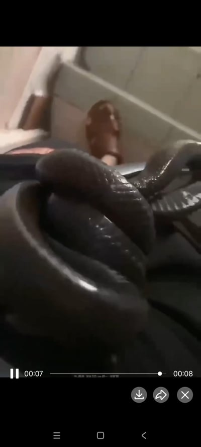 这是一张竖屏视频的截图，画面中的深色日常物品（大概率是软管、水管类）因为拍摄视角的巧合，产生了视觉错位效果，第一眼看上去酷似一条蛇，背景中还能看到一只穿着棕色拖鞋的人脚。这种视角错觉会让人瞬间产生惊吓感，随后反应过来是视角玩笑，十分有趣。