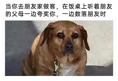 这是一张贴合生活场景的网络梗图，图片上方配有文字说明场景：“当你去朋友家做客，在饭桌上听着朋友的父母一边夸奖你，一边数落朋友时”，下方是一只戴着项圈的棕色狗狗，它乖乖坐着，眼神局促不安，表情带着愧疚与尴尬，完美还原了处于这种场景下的做客者的心情——一边被对方父母夸赞，一边看着朋友被数落，内心充满尴尬、愧疚，却又不知如何打破这种局面，狗狗的神态精准契合了这种复杂又无奈的情绪，让有过类似经历的人产生强烈共鸣。