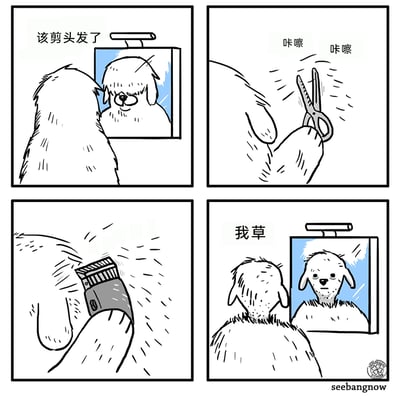 这是一组四格搞笑漫画，第一格中，一只毛发茂密的狗狗看着镜子，心里想着“该剪头发了”；第二格它拿起剪刀开始修剪头顶的毛发，发出“咔嚓 咔嚓”的声音；第三格它换用电推子继续打理，大量毛发被推落；第四格它再次看向镜子，发现自己把头顶的毛发全剃光了，只剩脖子和身体的毛发，镜子里的样子让它震惊地喊出“我草”，通过反转的情节制造出搞笑效果。