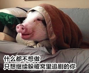 什么都不想做只想躲被窝追剧的你