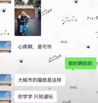 这是一张带装饰的微信聊天记录截图，上方是一张合成创作的图片：猫咪被拼接在蓝色自行车上，扶着车把，身后载着满满一筐白馒头，仿佛正在骑车卖货。聊天中，奶奶看到图片后感慨“心疼啊，是可怜”，晚辈回复“假的啊奶奶”揭穿这是合成图片，奶奶并不认可这个说法，反而坚持认为“大城市的猫就是这样”，还教育晚辈“你学学 只知道玩”，形成了充满笑点的认知反差，聊天背景还点缀了可爱的爪印和手绘颜文字装饰。
