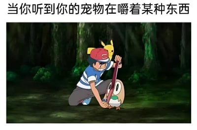 图片上方配有文字'当你听到你的宠物在嚼着某种东西'，下方是宝可梦动画截图：小智戴着红色帽子，表情紧张地单膝跪地，双手紧握一把红色长刀指向身前的一只小鸟宝可梦（疑似姆克儿），肩膀上的皮卡丘探出头观望。整体通过夸张的场景幽默表现宠物主人发现宠物乱吃东西时的紧张反应。