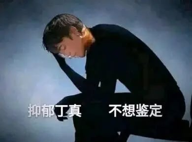 一眼丁真