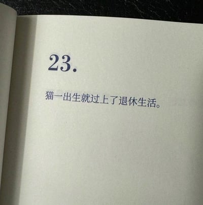 这是一张书籍内页的翻拍图，页面标注序号23，配有一句脑洞趣味短句“猫一出生就过上了退休生活”，以幽默视角调侃猫咪日常悠闲自在、无需劳作的状态，精准戳中人们对不用工作、闲适惬意生活的向往，风格轻松治愈，极易引发读者共鸣。