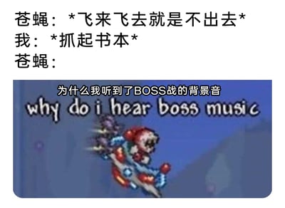 这是一张融合日常生活场景与游戏流行梗的搞笑图文梗图。图中通过三段式对话构建了一个趣味场景：首先是苍蝇在房间里飞来飞去不肯离开，当人类抓起书本准备驱赶它时，下方搭配了游戏《泰拉瑞亚》里火星飞碟BOSS的像素截图，同时配文“为什么我听到了BOSS战的背景音”以及英文原文“why do i hear boss music”，将苍蝇拟人化，把人类驱赶它的行为夸张地比作游戏里的BOSS战，用游戏中遭遇强敌时的紧张感来调侃苍蝇此时的危机感，制造出荒诞又幽默的反差效果，让日常小事充满趣味。