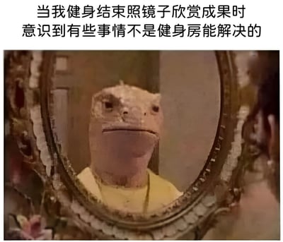 图片上方配有文字“当我健身结束照镜子欣赏成果时 意识到有些事情不是健身房能解决的”，下方是一只蜥蜴状生物对着华丽边框的镜子看的画面。蜥蜴表情平静，似乎在映照出“成果”，通过反差幽默地表达了健身无法解决所有外观或自我认知问题的无奈与自嘲。