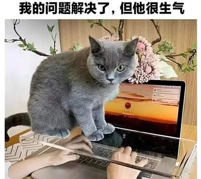 一只灰色的猫坐在笔记本电脑键盘上，表情严肃，下方有人的手正在尝试打字。图片上方配有文字'我的问题解决了，但他很生气'，形成一种幽默对比。笔记本屏幕显示着一个带有日落背景的官方网站界面，背景中有花卉装饰。