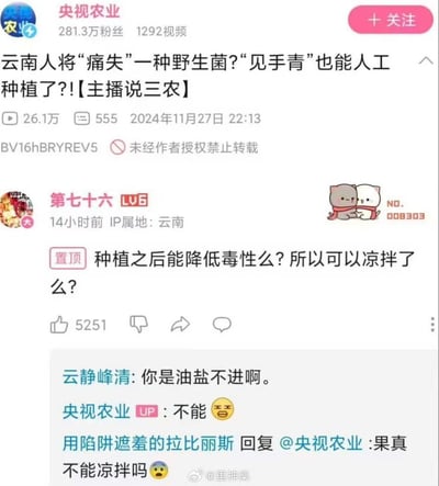 这是B站@央视农业 发布的《云南人将“痛失”一种野生菌?“见手青”也能人工种植了?!【主播说三农】》视频的评论区截图。IP属地为云南的用户“第七十六”置顶提问：“种植之后能降低毒性么？所以可以凉拌了么？”，玩起了见手青需彻底炒熟才能食用的梗；网友“云静峰清”回复“你是油盐不进啊”，@央视农业 官方账号无奈回复“不能😫”，还有网友追问“果真不能凉拌吗😱”，全程围绕云南人对见手青的“凉拌执念”玩梗，充满趣味。