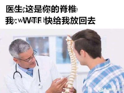 图片中一位穿着白大褂、戴着眼镜的医生正手持一个脊椎模型，面向一位穿着蓝色格子衬衫的年轻患者。医生似乎在向患者展示脊椎结构，而患者则表现出惊讶的反应。图片上方配有文字对话：“医生: 这是你的脊椎 我: WTF! 快给我放回去”，通过夸张的医患互动制造幽默效果，调侃人们对自身身体结构展示的意外反应。