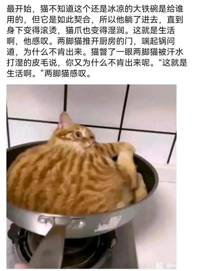 这是一张图文混排的趣味网络梗图，上方配有一段拟人化的共情文字：一只橘猫误躺进冰凉的铁锅，直到锅身变热、猫爪湿润也不肯离开，将人类（被称为“两脚猫”）的疲惫生活与之绑定，人类和猫互相反问后一同感慨“这就是生活啊”；下方的实拍图里，一只胖橘猫正好完美适配地躺在厨房的炒锅中，表情麻木又无奈，仿佛正对应文字里描述的状态。整幅图用猫咪可爱又荒诞的画面，隐喻当代人被生活裹挟、疲惫却无法脱身的处境，充满自嘲与共情的意味，很容易引发打工人的共鸣。