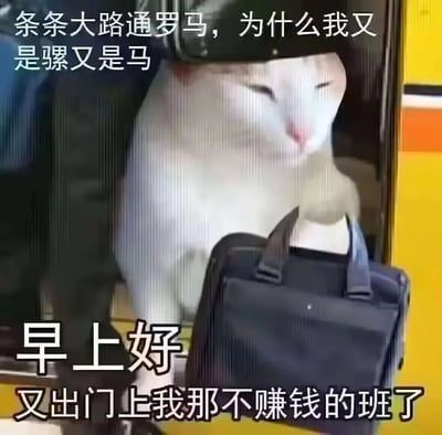 这是一张适配当代打工人情绪的吐槽梗图，图片经过合成处理，将一只白色猫咪调整为提着黑色公文包的姿态，模拟出打工人准备出门上班的场景，搭配的文字玩了谐音梗，用“又是骡又是马”对应打工人语境里的“牛马”，吐槽自己明明条条大路通罗马，自己却只能天天去上赚不到钱的班，传递出打工人上班的疲惫与无奈心态，很容易引发上班族的共鸣。