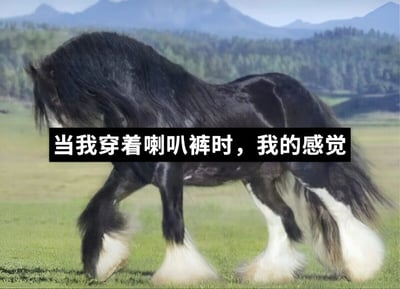 图片中是一匹黑色的重型挽马，它有着浓密的黑色鬃毛和尾巴，小腿覆盖着蓬松的白色毛发，正站立在绿色的草地上，背景是连绵的山脉。图片中间有一行黑色背景白色文字的标题：'当我穿着喇叭裤时，我的感觉'，通过马腿部飘逸的毛发与喇叭裤的宽大裤脚进行幽默类比，表达穿着喇叭裤时的自信与潇洒感。
