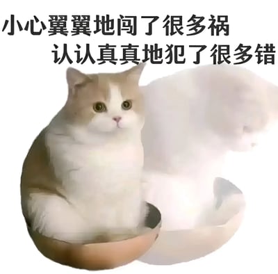图片主体为一只橘白相间的猫咪，它正端坐在一个浅棕色的陶瓷碗中，眼神清澈无辜，毛发蓬松柔软。图片上方配有两行黑色文字：“小心翼翼地闯了很多祸 认认真真地犯了很多错”，通过猫咪可爱无辜的形象与文字描述的“闯祸犯错”形成幽默反差，营造出一种轻松诙谐的氛围，适合用于表达生活中不经意犯错却又让人无法生气的场景。