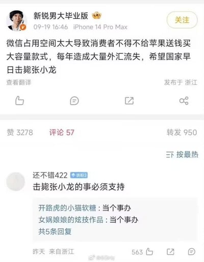 微博用户「新锐男大毕业版」发文极端吐槽微信占用空间过大，称这导致消费者被迫购买大容量苹果手机，还夸张地表示这造成大量外汇流失，呼吁「国家早日击毙张小龙」。评论区用户「还不错422」留言支持该言论，另有其他用户回复「当个事办」跟风附和。该内容无双关、谐音梗或暗示，是带有极端情绪的网络吐槽言论。