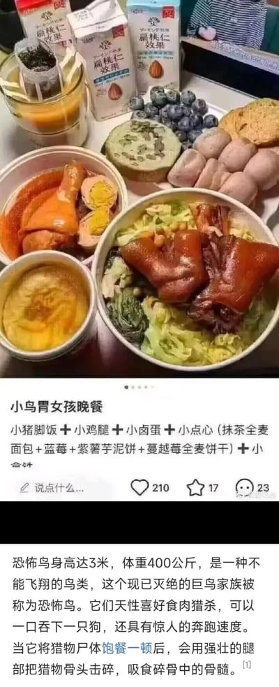 这是一张上下拼接的搞笑梗图，上半部分展示了一份分量十足的晚餐，包含小猪脚饭、小鸡腿、卤蛋、抹茶全麦面包、蓝莓、紫薯芋泥饼、蔓越莓全麦饼干以及扁桃仁饮品等多种食物，配文标注为「小鸟胃女孩晚餐」；下半部分是关于恐怖鸟的科普内容，介绍恐怖鸟是身高3米、体重400公斤的巨型食肉鸟类，食量惊人。通过将自称「小鸟胃」的女孩的大分量晚餐和巨型食肉的恐怖鸟关联，形成强烈反差，调侃所谓的「小鸟胃」其实是食量堪比史前巨鸟的大胃，制造搞笑效果。
