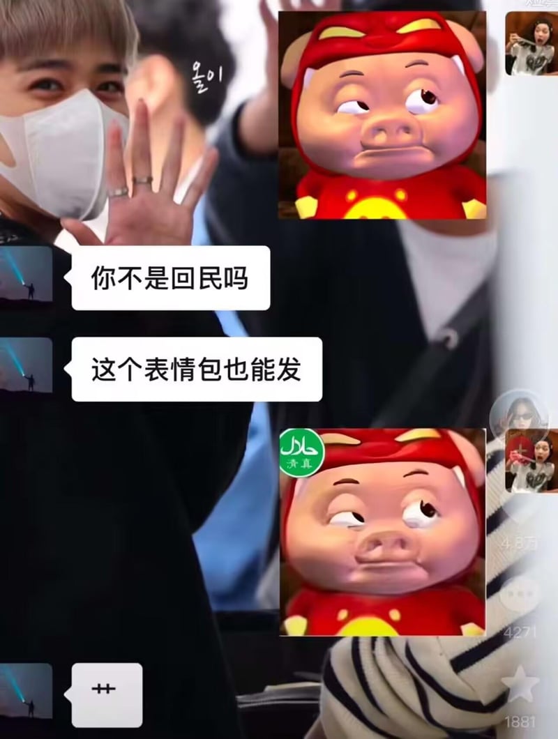 猪猪侠系列动画