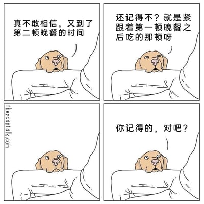 这是一幅来自theycantalk.com的四格连环卡通漫画，主角是一只趴在桌沿的狗狗。第一格中狗狗带着惊讶的语气，仿佛惊喜于又到了“第二顿晚餐”的时间；第二格它向主人解释所谓的第二顿晚餐，就是紧跟在第一顿晚餐之后的那顿；第三格狗狗露出期待的眼神，没有台词却满是急切；第四格它带着恳求的语气确认主人记得这件事。漫画通过拟人化的台词和狗狗生动的表情，幽默地还原了宠物总是贪吃、想多要食物的可爱日常，充满趣味。