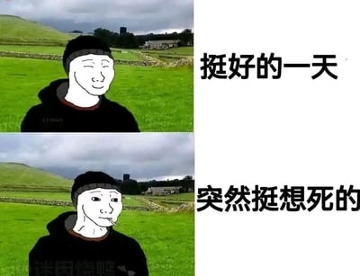这是一张上下拼接的对比梗图，背景为相同的户外绿色草地与远处的乡村景致。上图中，戴着针织帽的Wojak衍生卡通人物面带微笑，神态轻松，配文“挺好的一天”，传递出轻松愉悦的日常情绪；下图是同一个人物，眉头微皱、神情低落，嘴里叼着一根烟，配文“突然挺想死的”，瞬间将情绪拉至低落崩溃的状态。这种强烈的情绪反差，精准地刻画了当代人在生活中毫无预兆被烦心事击中，情绪从积极骤然跌入消极低谷的状态，极易引发大众的情绪共鸣。