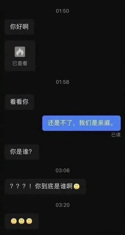 这是一张聊天记录截图，展示了一段有趣的对话。一方发送