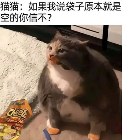 图片中是一只体型圆润的灰白相间猫咪，正坐在铺有白色毛绒地毯的地面上。猫咪身旁散落着一袋打开的Cheetos Flamin' Hot Crunchy薯片，包装袋已明显变瘪。猫咪头部微微侧转，眼神看向一侧，表情显得无辜中带着一丝心虚。图片顶部配有文字“猫猫：如果我说袋子原本就是空的你信不？”，通过拟人化的对白，幽默地表现出猫咪仿佛在为自己辩解，否认偷吃了薯片的场景。整体画面温馨又搞笑，充满生活气息。