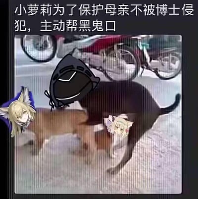 这是一张以明日方舟角色为核心的恶意二次创作梗图，以两只猫互动的实拍照片为底图，将角色凯尔希的头像放置在浅棕色猫的位置，苏苏洛的头像放置在黑猫的下方，同时在黑猫头部手绘了明日方舟博士的头盔图案。图顶部配有低俗编造的文字“小萝莉为了保护母亲不被博士侵犯，主动帮黑鬼口”，利用猫的互动姿势制造低俗暗示，对明日方舟原作角色进行恶意解构与恶搞，内容低俗且违背角色设定。