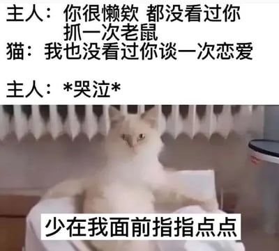 这是一张网络搞笑表情包，图片上方呈现主人和猫的对话：主人吐槽自家猫懒惰，从来没见过猫抓一次老鼠，猫反击称自己也从来没见过主人谈过一次恋爱，直接戳中主人痛点导致主人哭泣；图片下方是一只张开双爪的布偶猫，搭配文字“少在我面前指指点点”，以宠物反击主人的反差内容玩梗，讽刺了随意指责他人的行为，同时戳中了单身群体的痛点，充满搞笑效果，常被单身网友用于自嘲或者反击他人的吐槽。