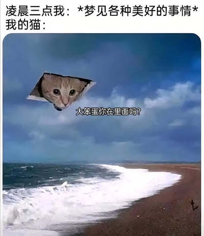 这张梗图展示了凌晨三点的对比场景：上方文字写着'凌晨三点我：*梦见各种美好的事情* 我的猫：'，下方图片是一只猫的脸从天空中破洞探出来，配文'大笨蛋你在里面吗?'。通过将宁静的海滩梦境场景与突然闯入的猫脸形成对比，幽默地表现了宠物如何打断主人睡眠的日常情景。