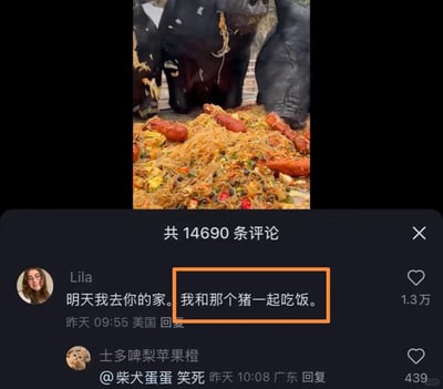 这是一张竖屏格式的短视频评论区截图，画面上半部分是短视频内容：几头黑色的猪正在进食一份看起来是炒粉搭配香肠的人类餐食，食物分量充足；画面下半部分是评论区，来自美国的用户Lila发布评论“明天我去你的家。我和那个猪一起吃饭。”，这条评论获得了1.3万的点赞，下方还有来自广东的用户“士多啤梨苹果橙”回复其他用户“笑死”，获得了439个点赞。整体内容是网友针对猪吃人类餐食的趣味视频，用搞笑的发言玩梗，表达对视频内容的调侃，引发其他网友的共鸣。