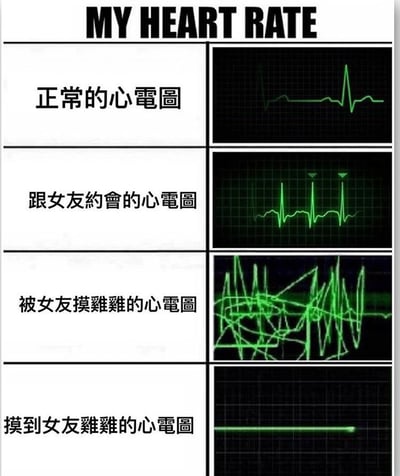 一张四格对比梗图，通过心电图波形幽默展示与女友互动时的心率变化。从正常状态到约会、被女友触摸敏感部位，再到触摸女友敏感部位时的心率变化，波形从规律逐渐变得混乱，最后变成直线，形成搞笑对比效果。