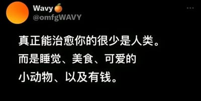 这是一张社交媒体截图，黑色背景上有白色文字，内容为："真正能治愈你的很少是人类。而是睡觉、美食、可爱的小动物、以及有钱。" 左上角有一个橙色圆形头像，旁边显示用户名"Wavy"和账号"@omfgWAVY"。