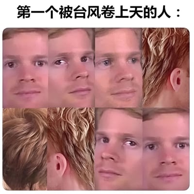 图片上方配有文字“第一个被台风卷上天的人：”，下方是一个2行4列的多图拼接网格。网格中展示了同一人物的面部及头部特写，从左到右、从上到下，人物的头发逐渐从相对整齐变得极度凌乱、卷曲，模拟了人被台风卷上天时头发被强风持续吹乱的夸张过程。整体通过发型变化的递进效果制造幽默，展现了台风风力强劲的戏谑想象。